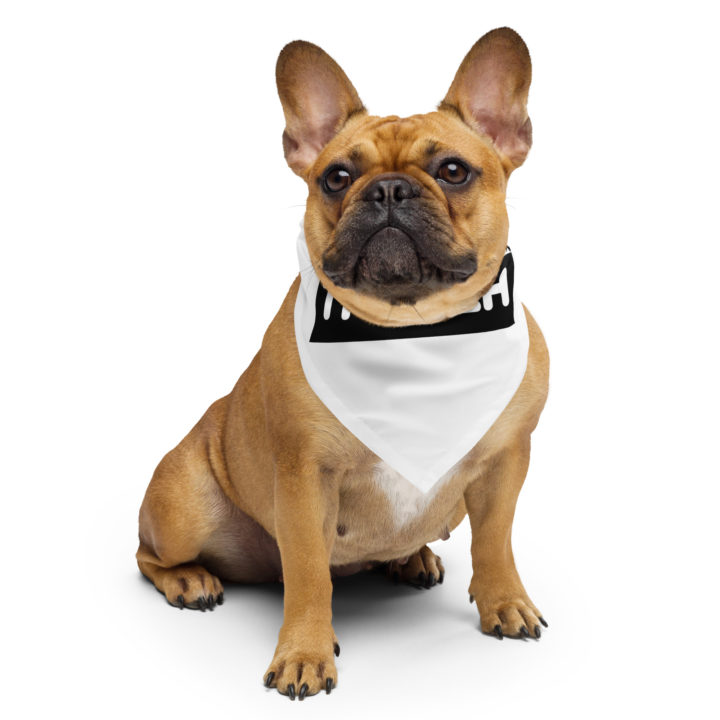 Truth Trench Bandanna on dog. White with black writing - TruthTrench