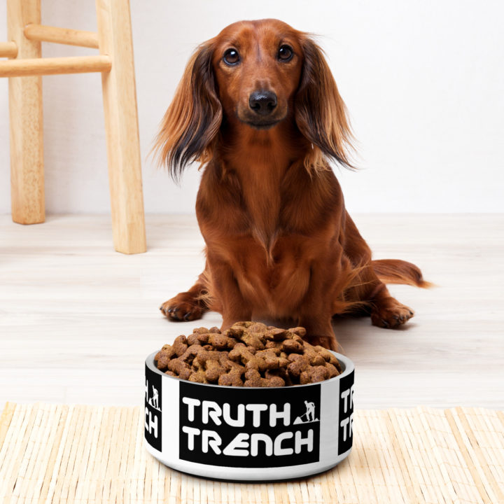 Truth Trench Dog Bowl full with a brown dog - TruthTrench